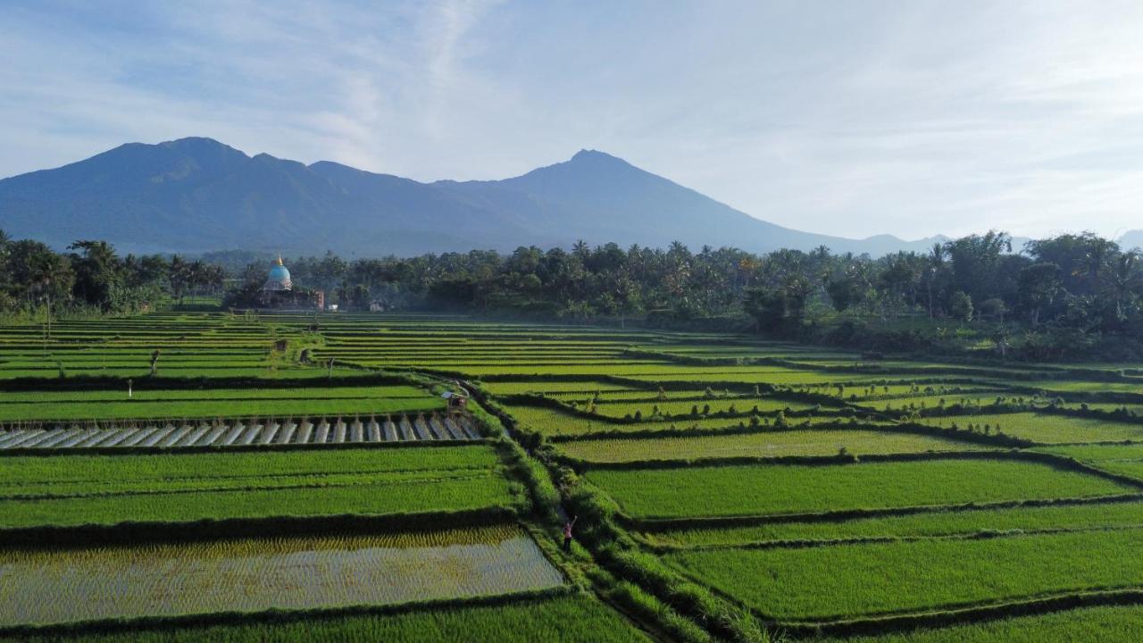 Mu Homestay Tetebatu Exterior foto